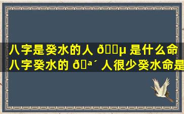 八字是癸水的人 🐵 是什么命（八字癸水的 🪴 人很少癸水命是最烂的命）